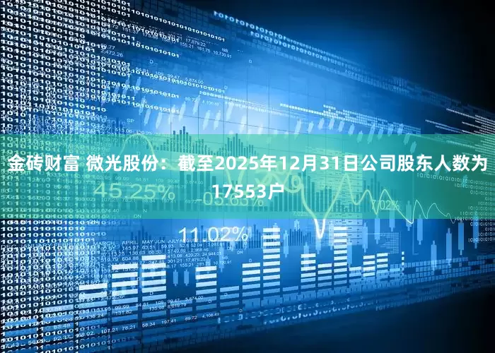金砖财富 微光股份：截至2025年12月31日公司股东人数为17553户